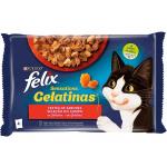 Felix Sensations