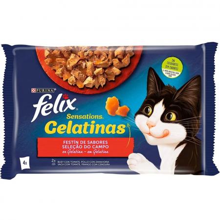 Felix Sensations