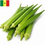 Gombos du Sénégal (x10)