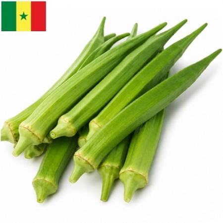 Gombos du Sénégal (x10)