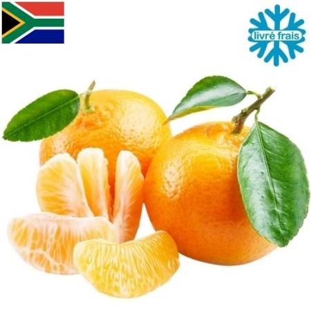 Clémentines d'Afrique du Sud x3